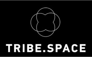tribe.space logo